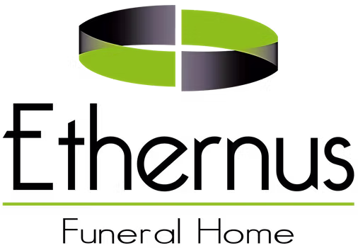 Ethernus Logo